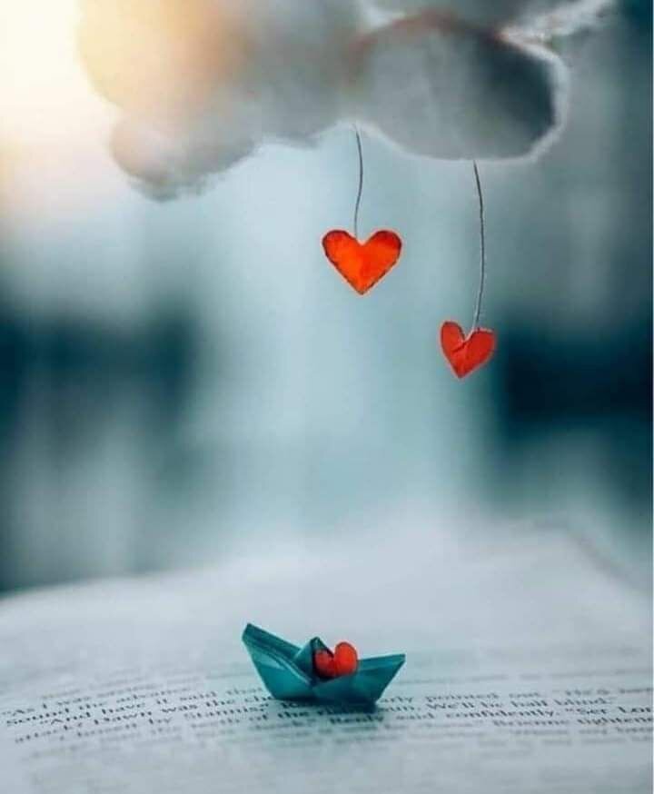 Источник фото: Яндекс. Картинки 