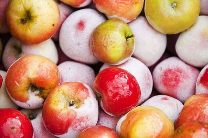 Замороженные яблоки можно использовать для приготовления, варенья, желе, пирогов, тортов, печеных яблок и других  блюд.