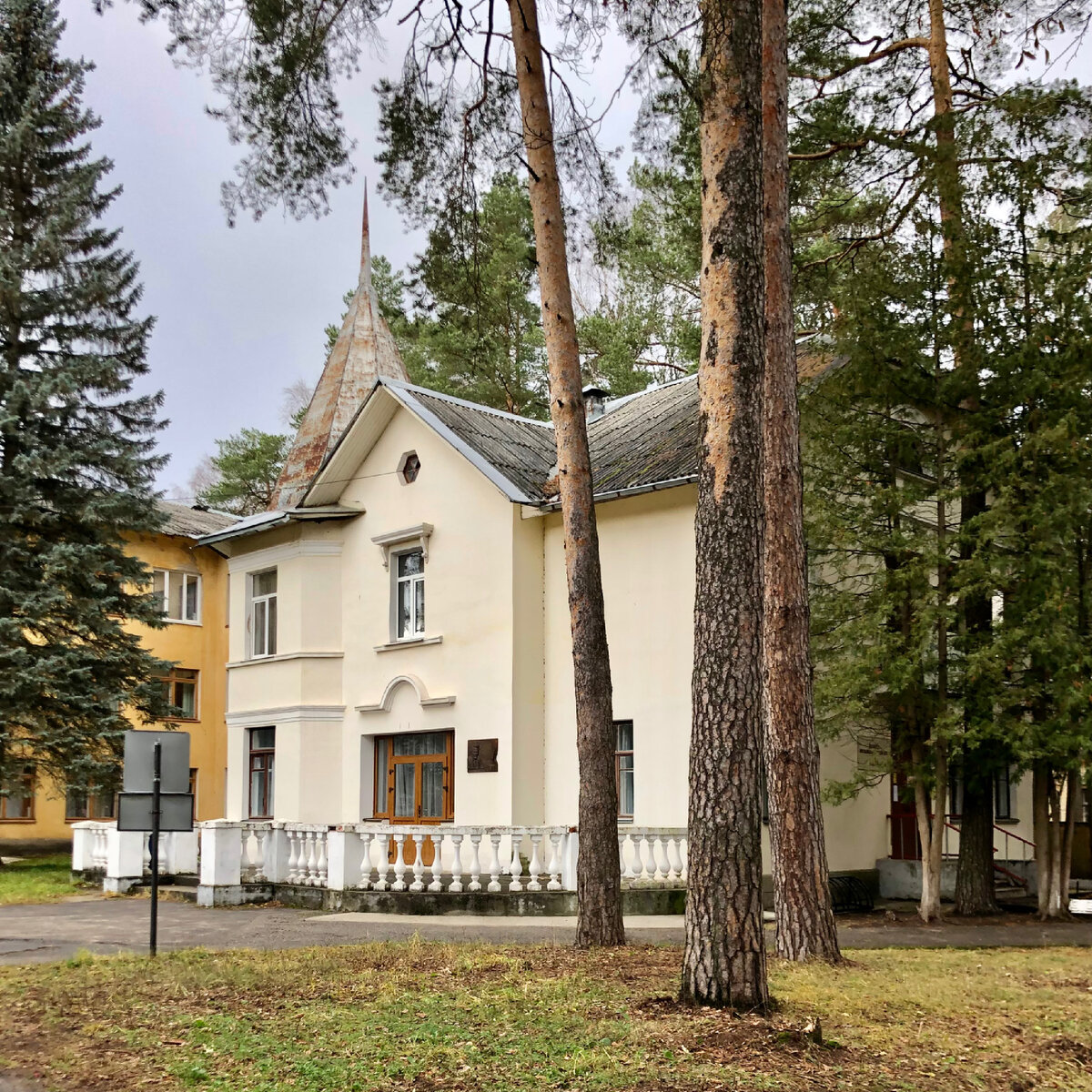 Домик в соснах (фото автора)