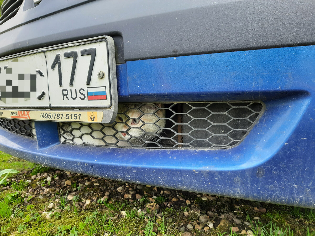 Сидит 🤦‍♀️