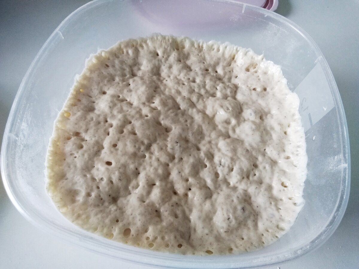 Опара через 3 часа.