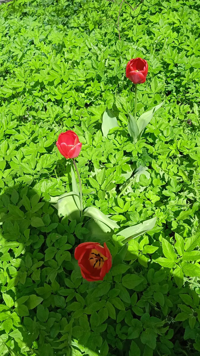 20 градусов на Обручева, для меня жарень не выносима для весны 🥵