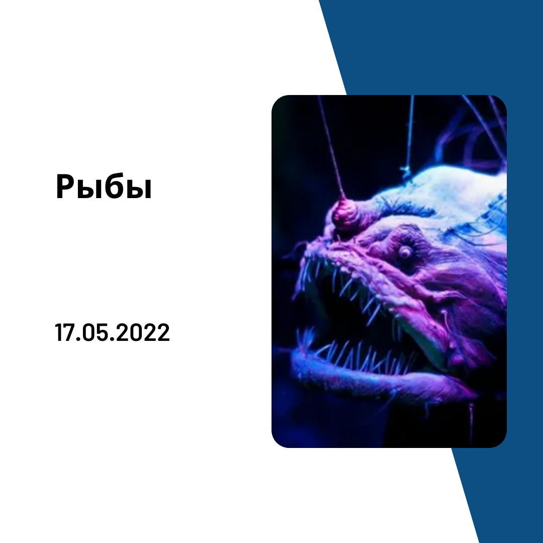 Рыбы - 17.05.2022
