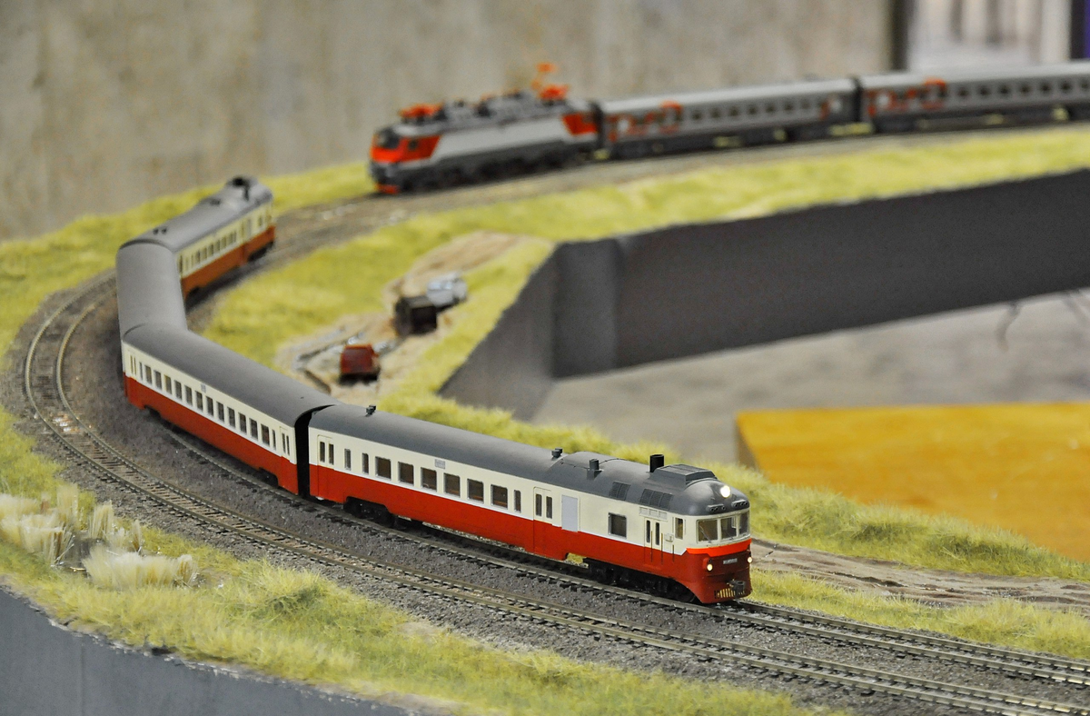 Готовая модель дизель-поезда Д1 в Н0