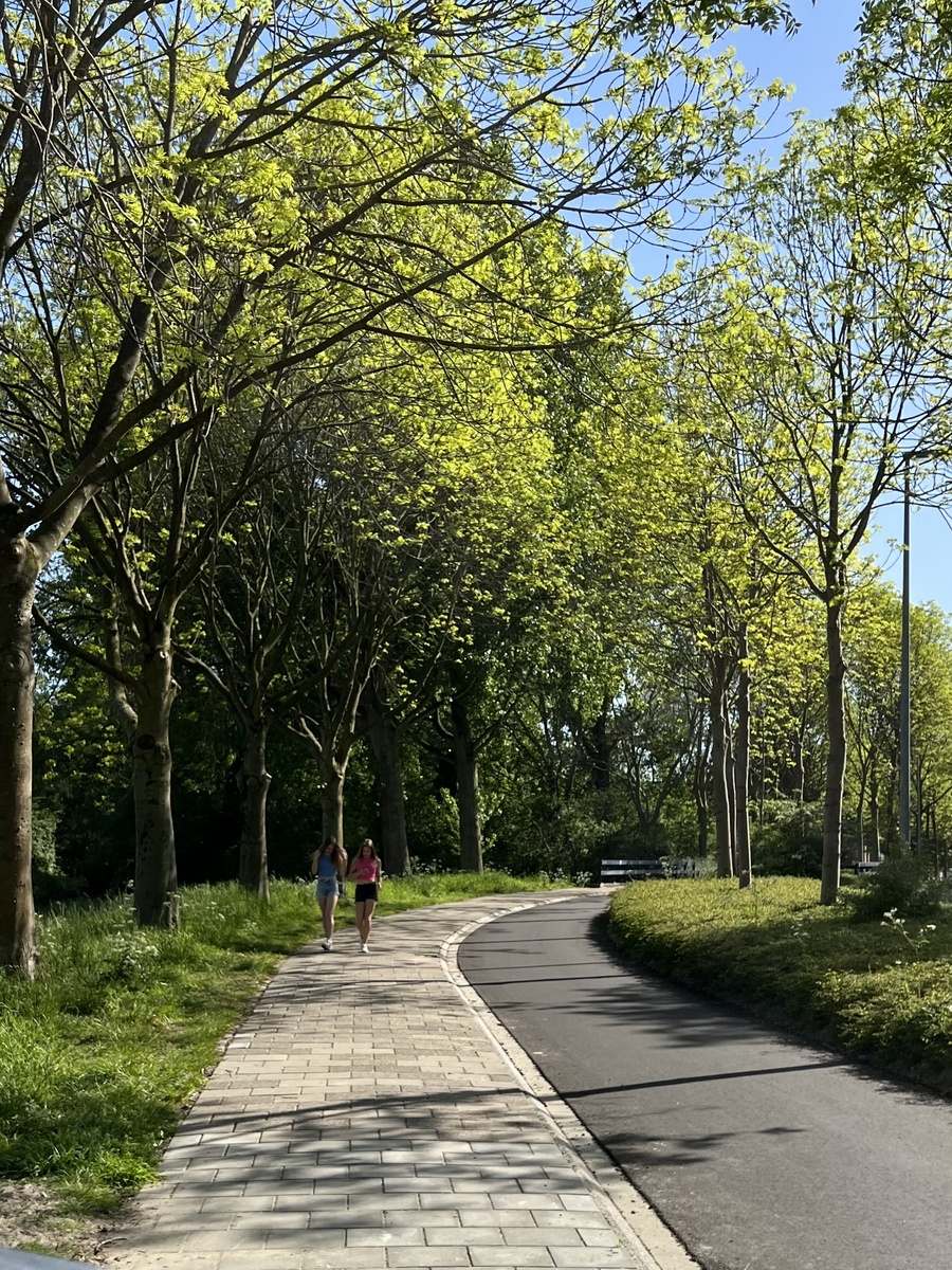 Велодорожки