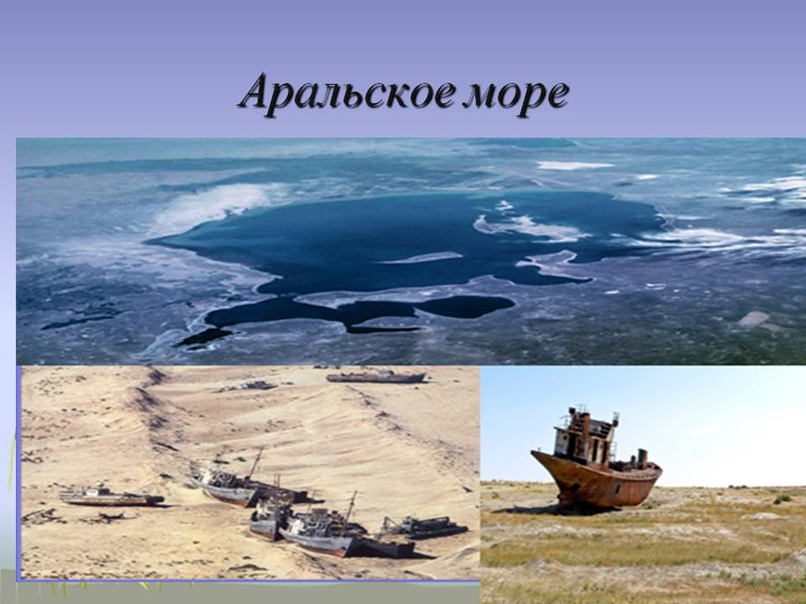 Проект проблемы аральского моря