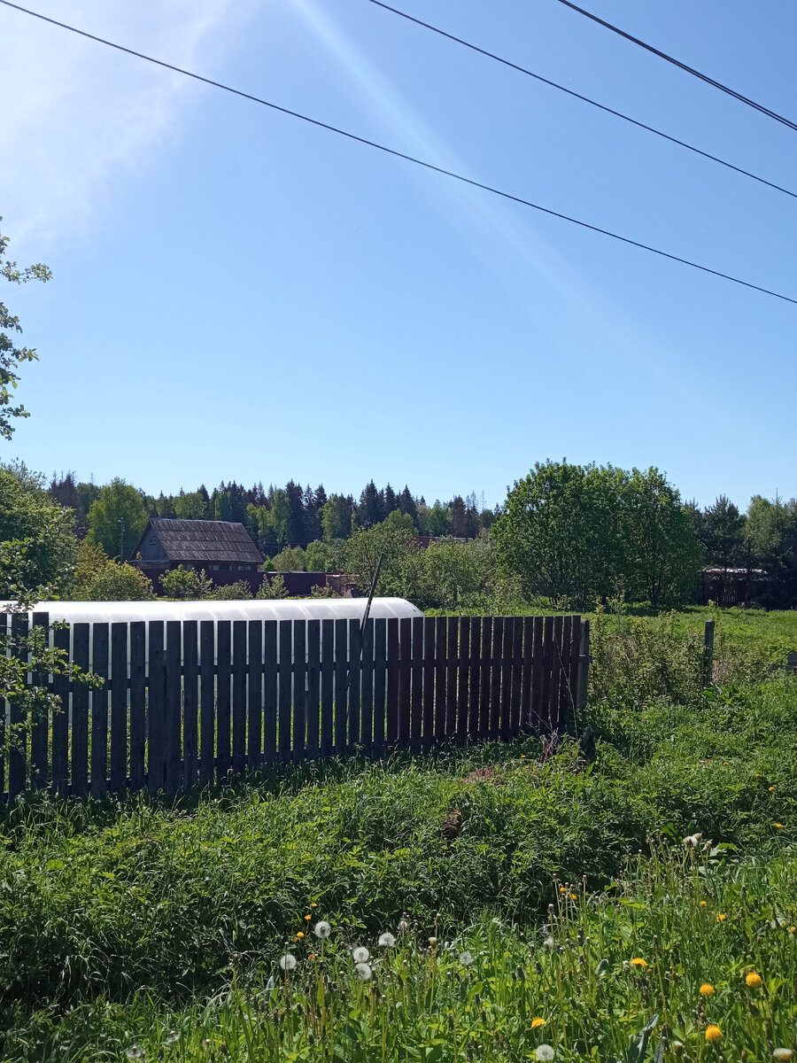 Деревня Фото автора