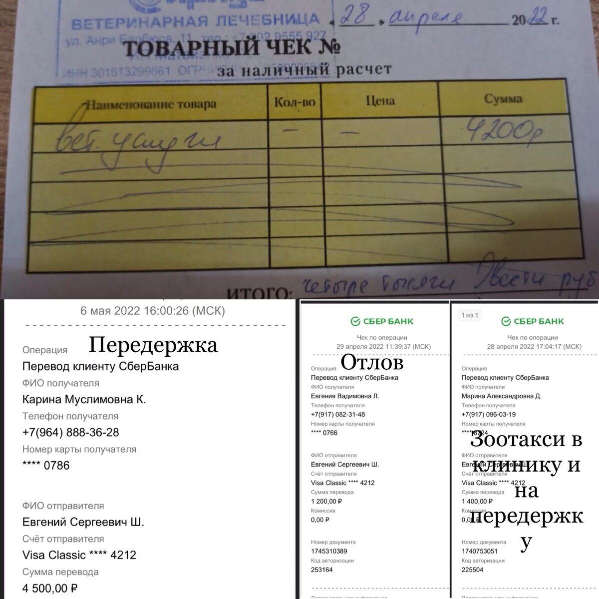 Расходы по Ирме 