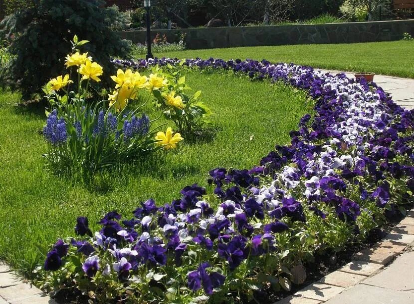 Цветник-бордюр из многолеток
