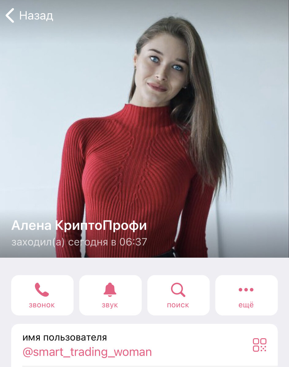 Скриншот из телеграмм