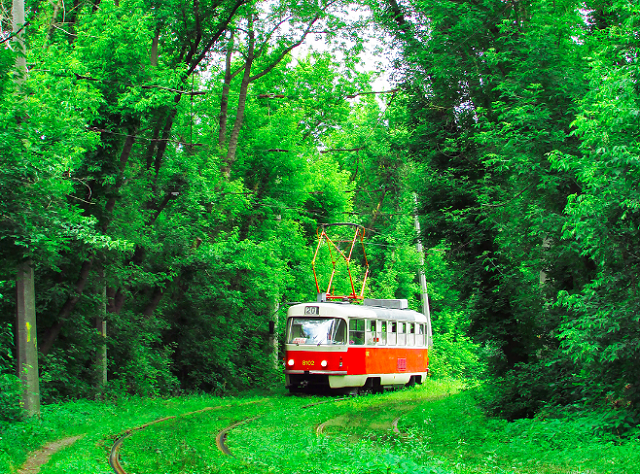 Фото сайта Pikabu.ru