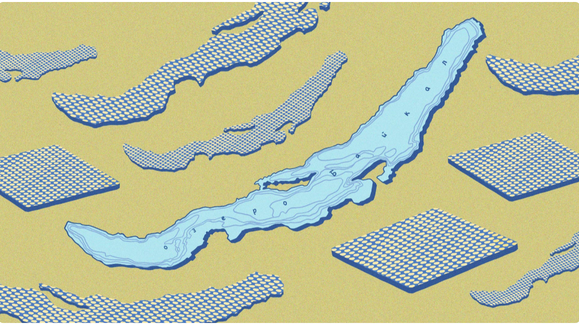 Иллюстрация: Светлана Чувилёва / Wylsacom Media