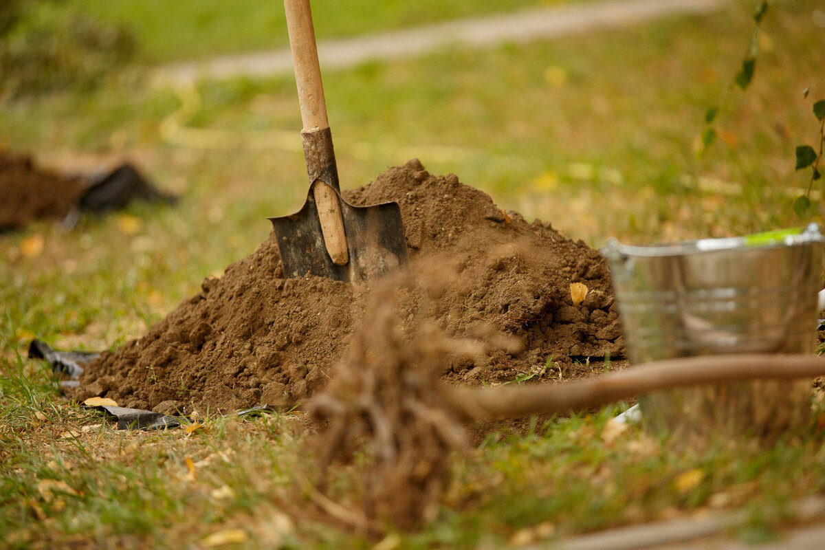 Можно использовать данную землю. Пищевые отходы для удобрения почвы. Зола удобрение. Можно использовать данную землю. Можно использовать данную землю.