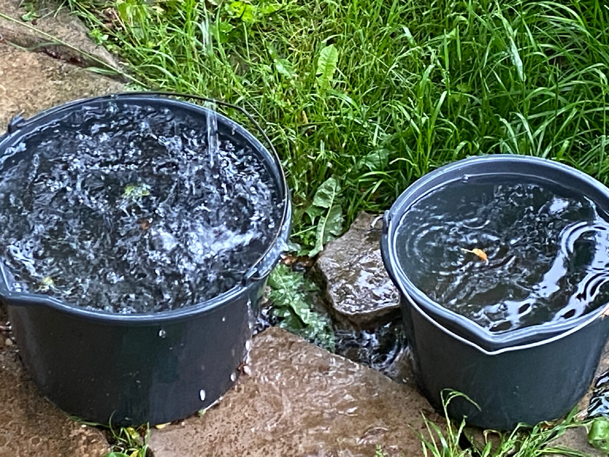 У природы свои планы