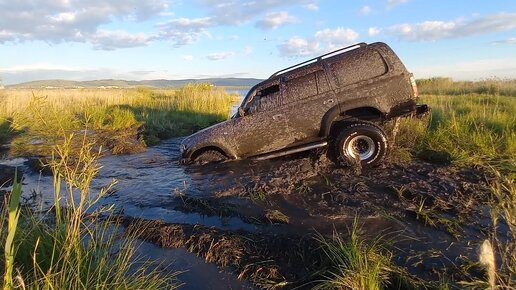 Land Cruiser 80 реально удивил в болоте! UAZ Patriot, Jeep, Escudo, Carib. OffRoad