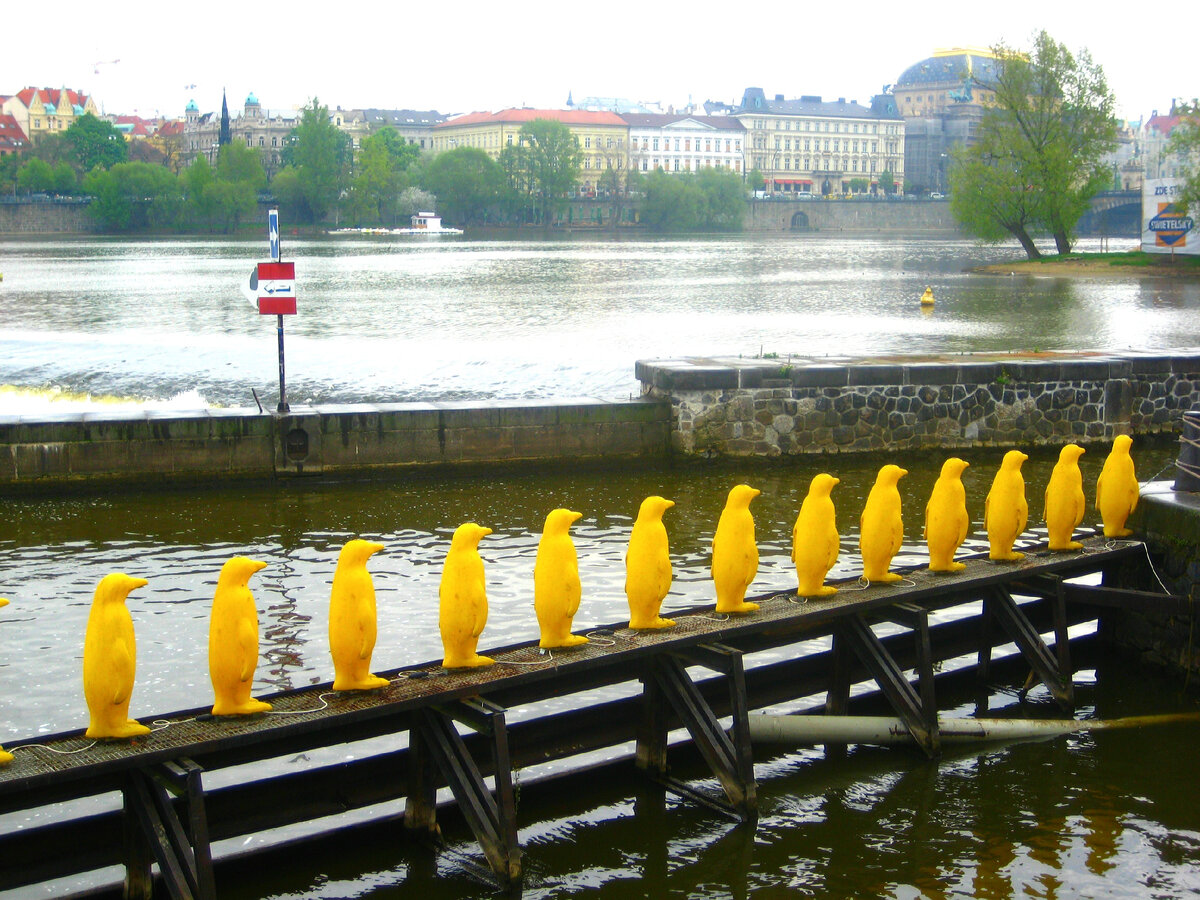 Я бы не рискнула плавать в этом канале, но пингвинам можно, они ненастоящие))