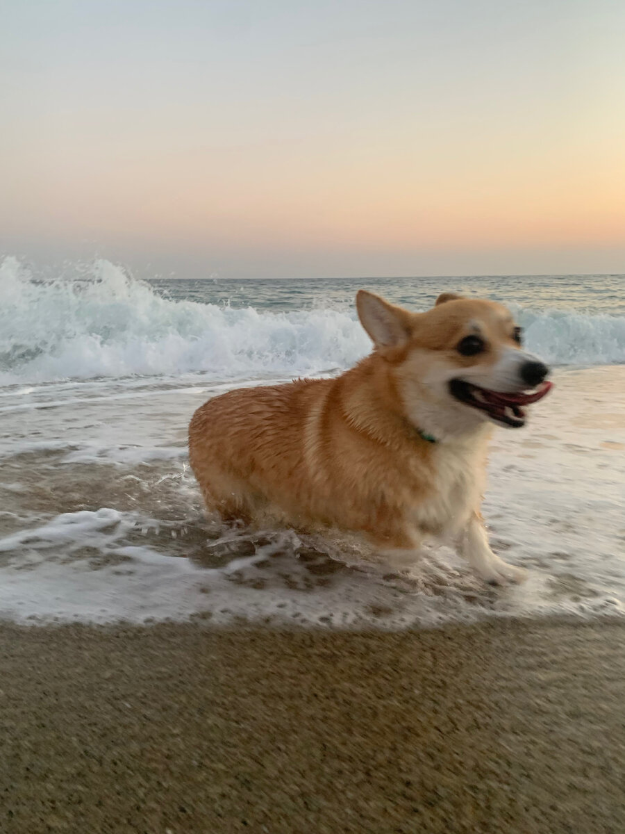 Побег от волны.