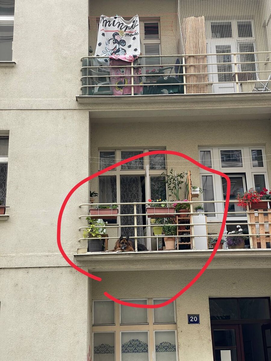 Фото из личного архива