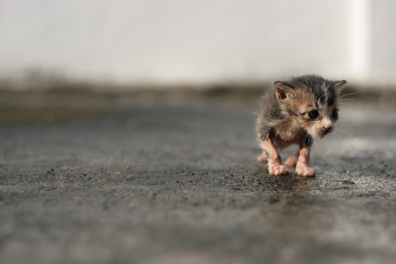 Картинка с интернета