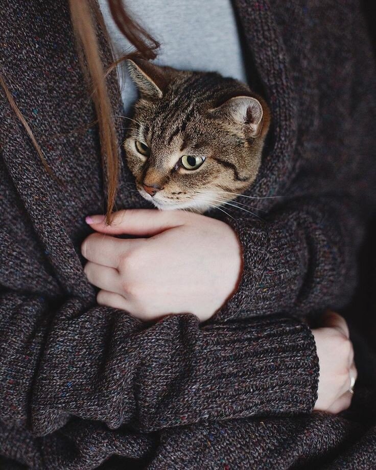 Иллюстрация с сайта https://pin.it/75Gq20s