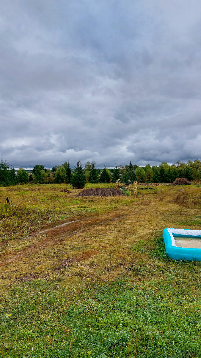 Тучи ходят хмуро.