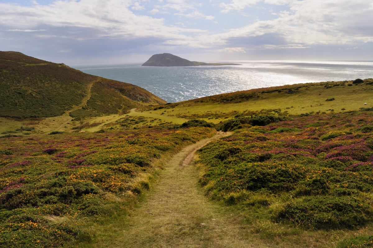 Вид на остров Бардси