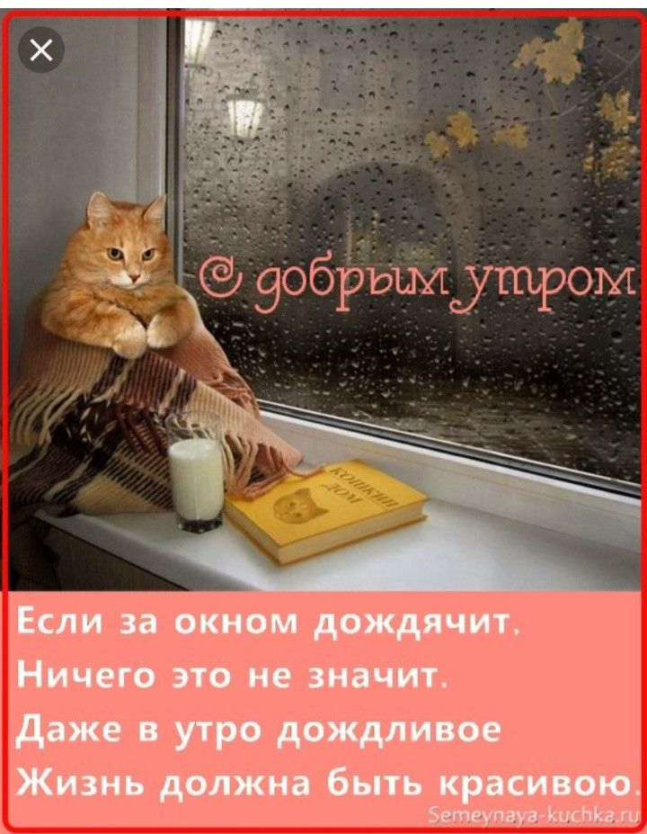 Пожелание доброго утра в дождливую погоду в картинках прикольные