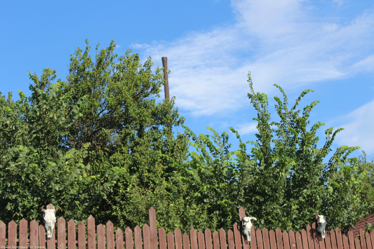 Неаполь Скифский (РКрым, г. Симферополь) 