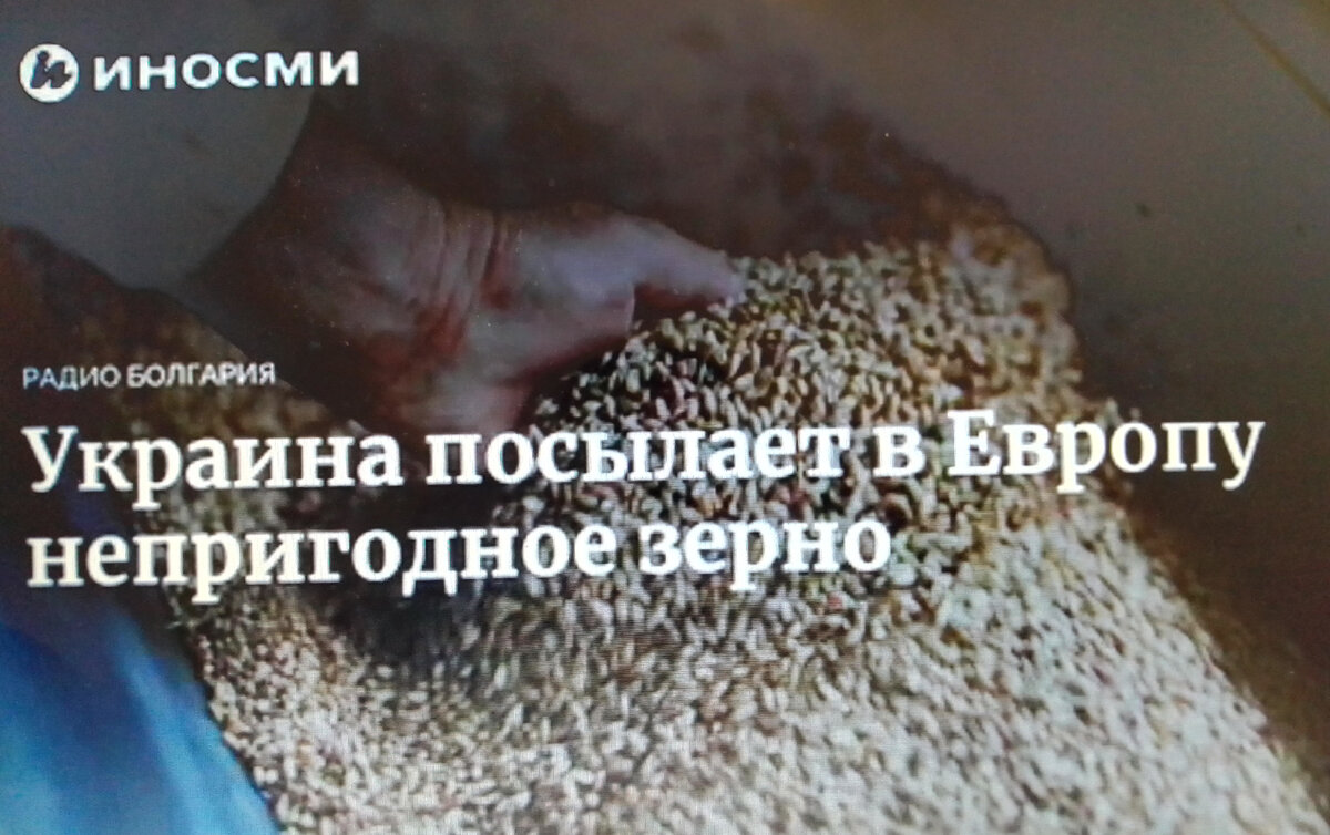 Яндекс. Картинки.