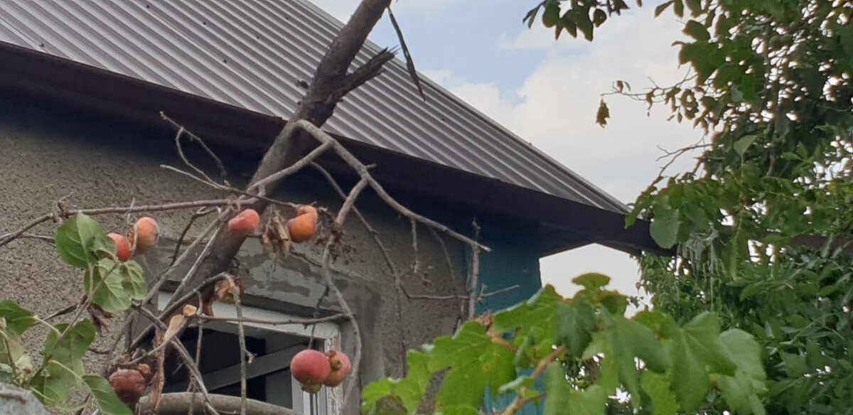 Опустел дом Веры Кондратьевны.. Фото Елены Лабо.