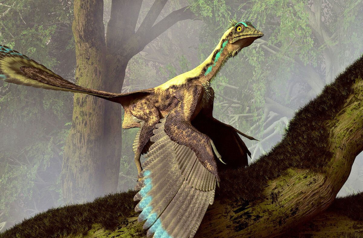 летающие динозавры с перьями названия