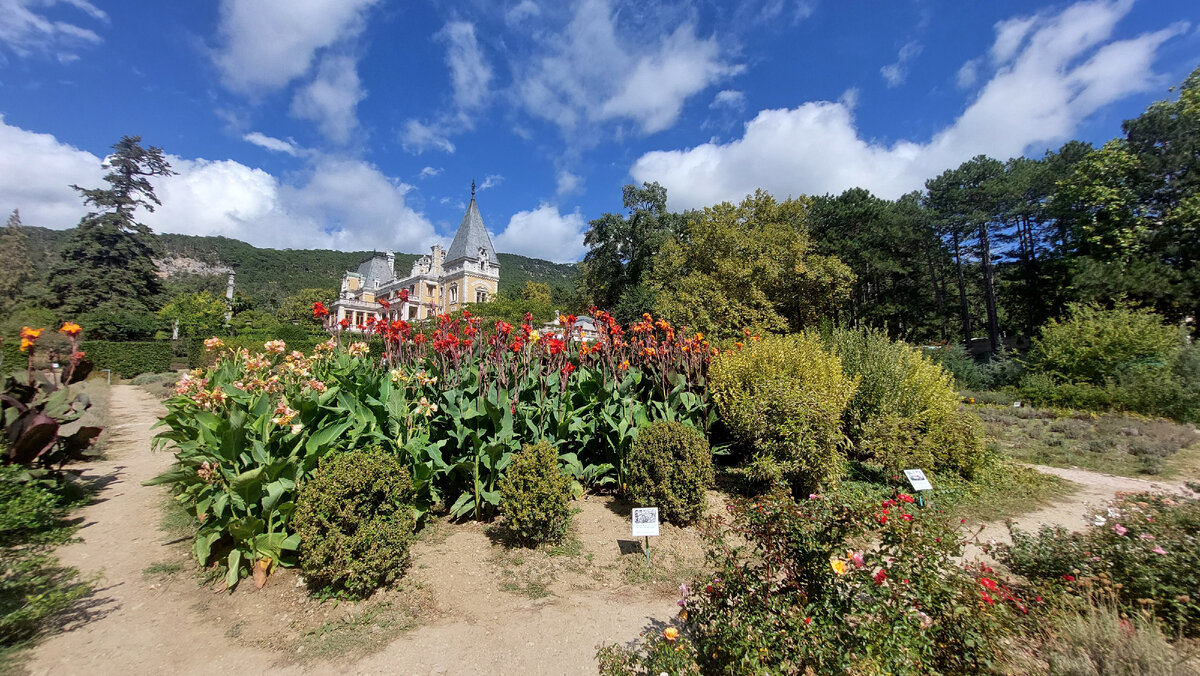 Сад ароматов с видом на дворец