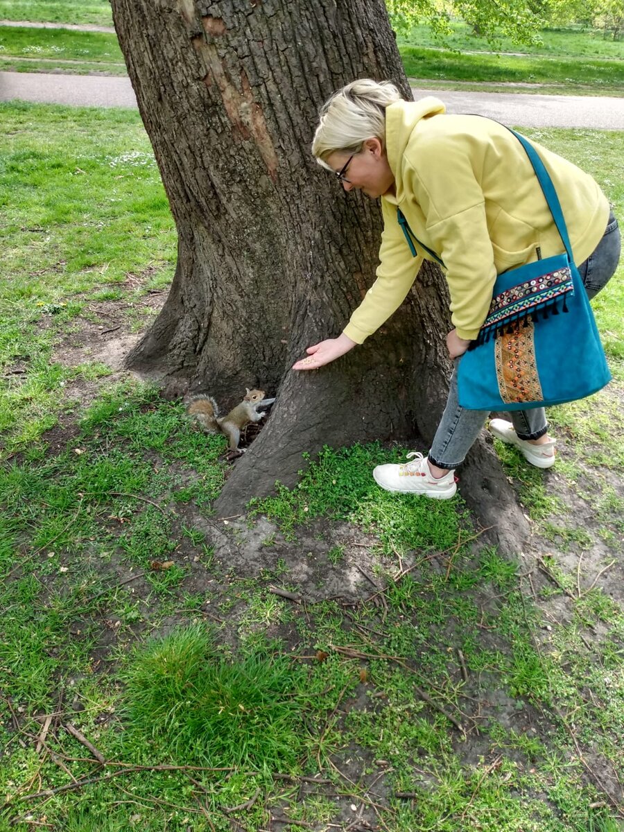 Бельчонок. Из серых... Фото из личного архива 