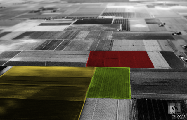    Земля Иван Шилов © ИА REGNUM