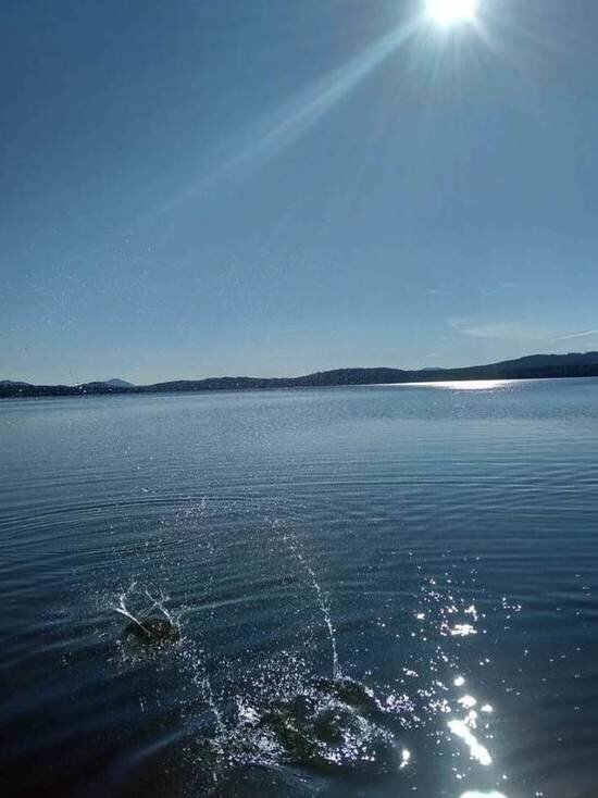     Фото: МК Ямал