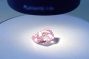    Фото: alrosa.ru Ирина Мудрых