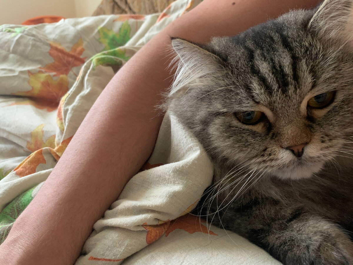 Грут и рука мужа:)