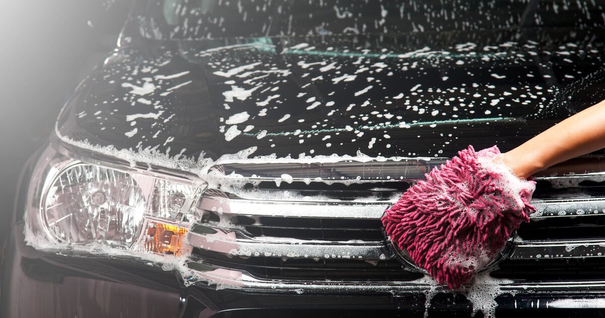 фото https://krot.info/