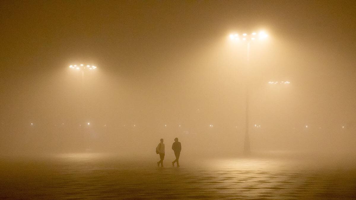    Фото: Софья Сандурская / АГН Москва