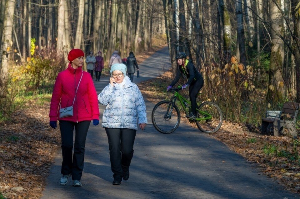     Ясную, но холодную погоду пообещали синоптики ростовчанам в предстоящий четверг. Михаил ФРОЛОВ