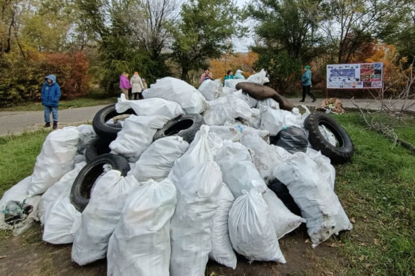    Груда мусора, собранного в парке Текстильщиков во время «Марафона добра» (фото Центр «Планета молодых»)