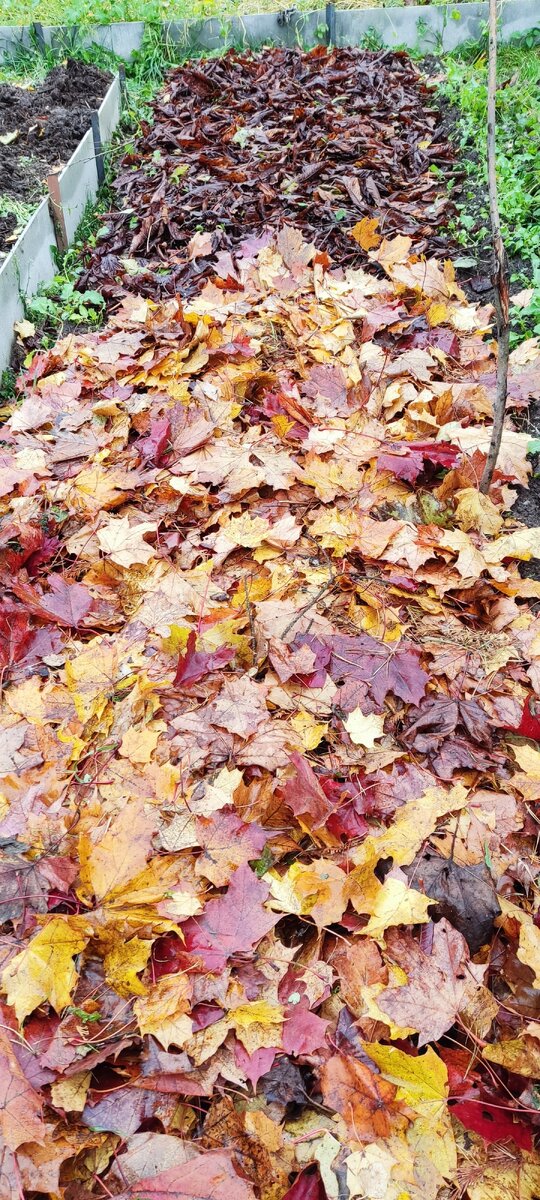 Природный укрывной материал. 