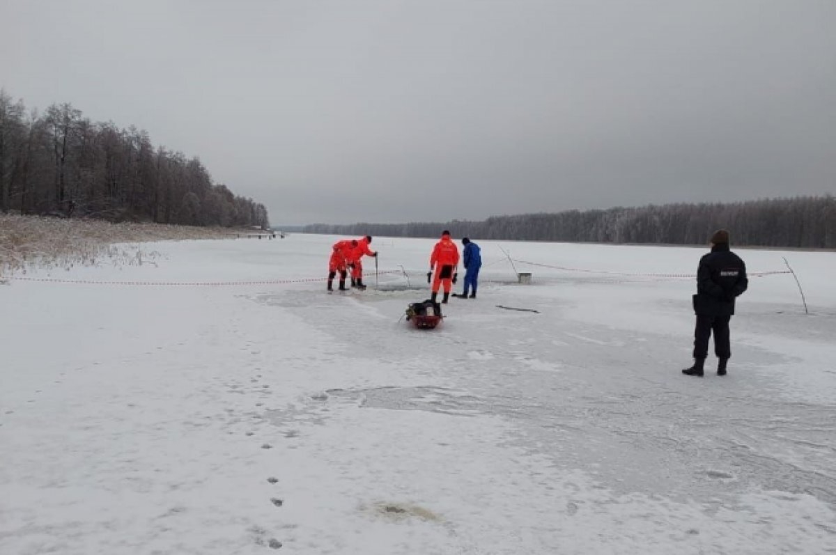    Тонувшего рыбака спасли в Нижегородской области