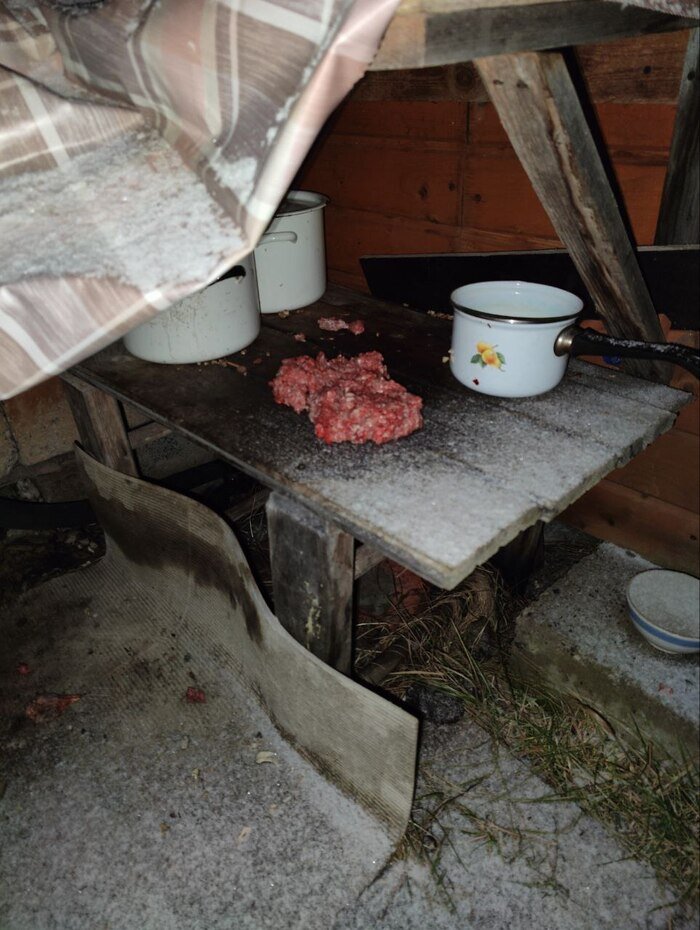 Листайте вправо, чтобы увидеть больше изображений