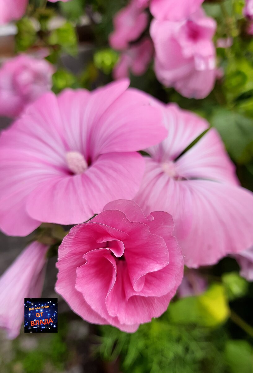 Подпишись на мой канал. 