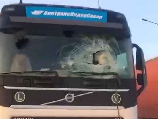   Кадр из видео