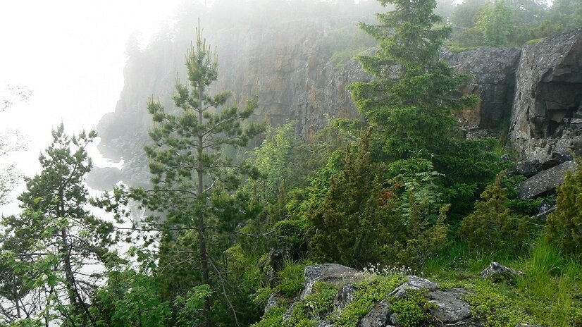 Туман на скалах. Фото автора.