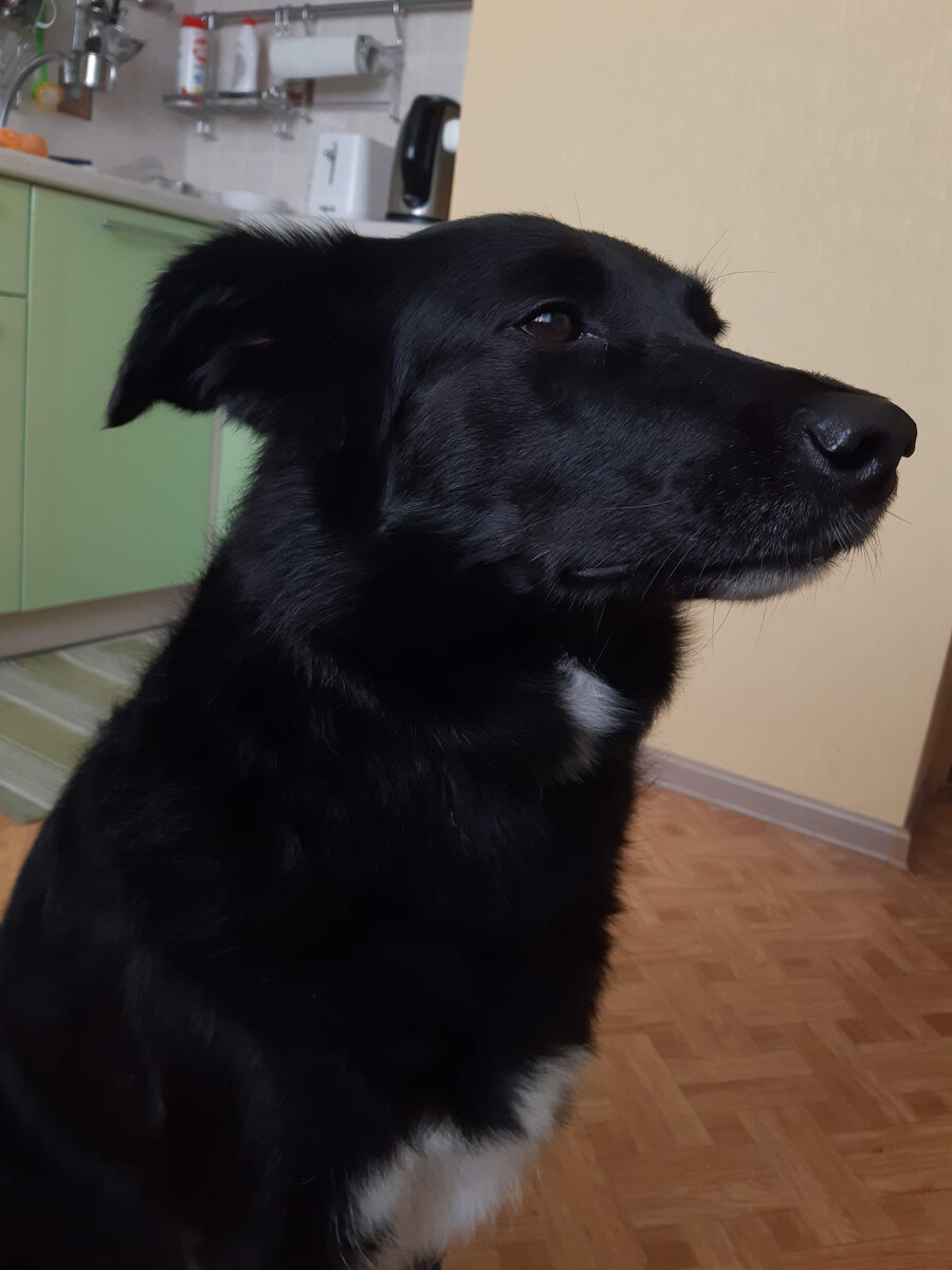 Их высочество ожидают перемены блюд в трапезной