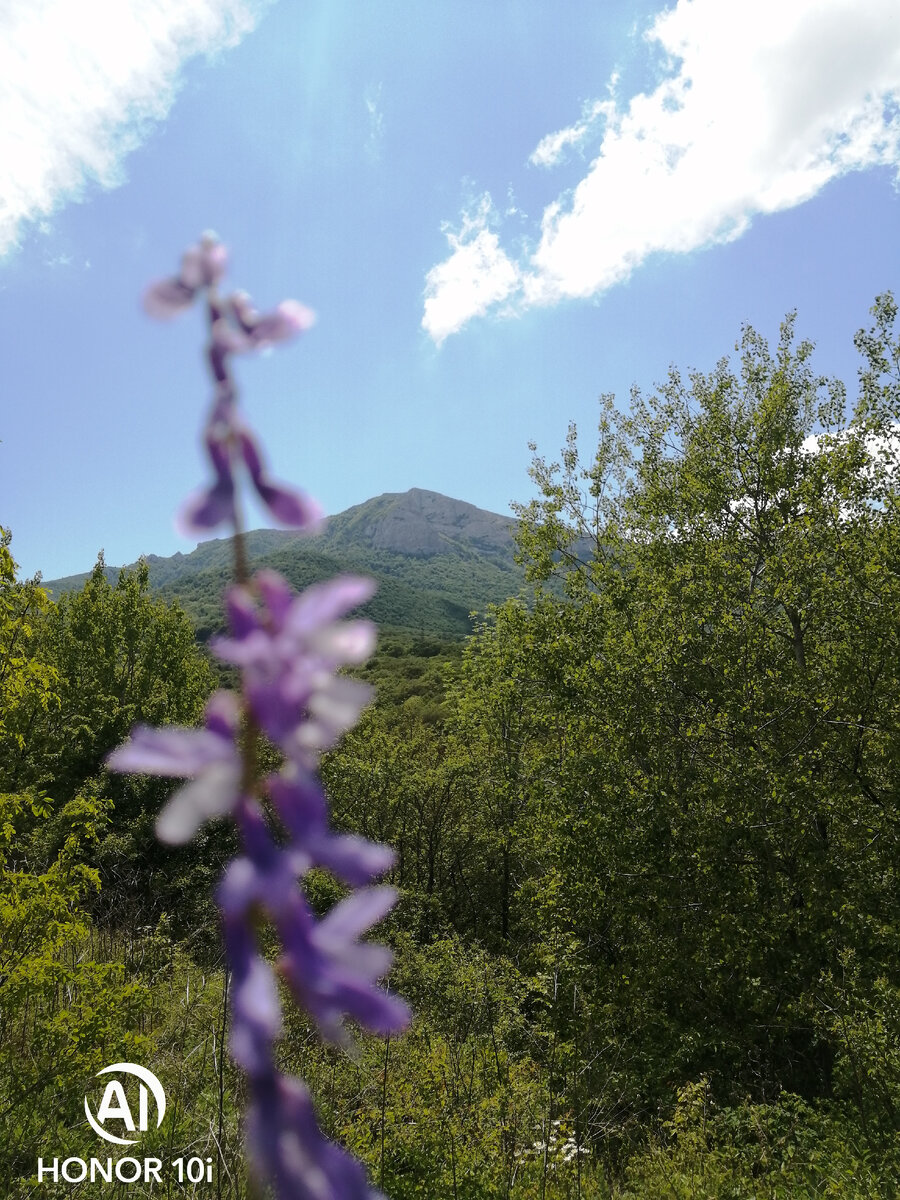 Гора Чатыр-даг справа от трассы.