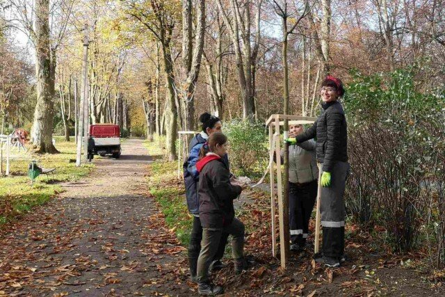   Фото: t.me/klgd_park39